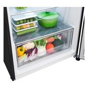 LG Heladera Top Freezer│395L│Door Cooling+│Smart Inverter, details view, VT40MPM, thumbnail 4