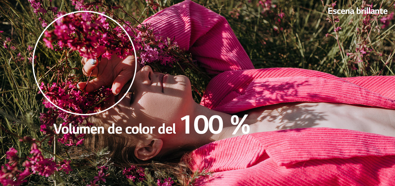 El video muestra a una jovencita con la mano sobre los ojos, mientras yace en un campo de césped y flores rosas. A medida que se reproduce el video, los colores se tornan más intensos y el indicador de porcentaje del volumen de color aumenta del 70&nbsp;% al 100&nbsp;%.