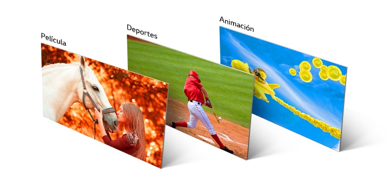 Tres imágenes: en una se ve a una joven besando a un caballo, en la segunda un jugador de béisbol golpeando una pelota y en la tercera un avión animado volando por el cielo.