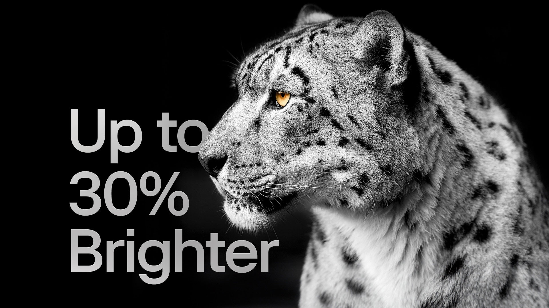 Una imagen de un leopardo blanco que muestra su cara lateral en el lado izquierdo de la imagen. A la izquierda aparecen las palabras "Hasta un 30% más brillante".