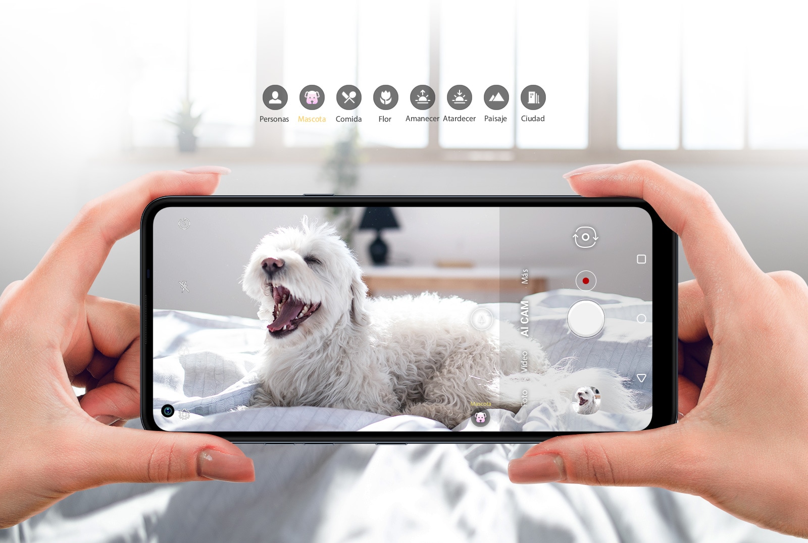 Primer plano de alguien sosteniendo un Smartphone fotografiando a un perro