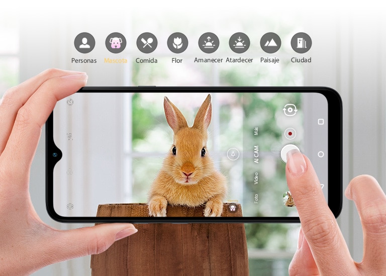 Primer plano de alguien sosteniendo un Smartphone fotografiando a un conejo