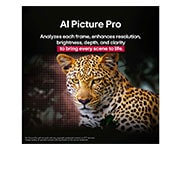 LG TV LG OLED AI 65'' | Procesador Alpha 8 AI Gen2, Leopardo en el bosque en colores vivos y con gran detalle. El leopardo tiene una cuadrícula y una luz que brilla detrás de él, lo que indica cómo LG AI Picture Pro realizó impresionantes mejoras visua, OLED65B5PSA, thumbnail 8