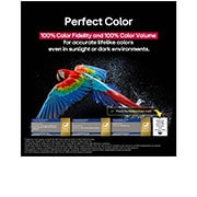 LG TV LG OLED AI 77'' | Procesador Alpha 11 AI Gen 2, Living room space with a wall-mounted LG OLED TV. On the TV is a mountain range against a dark evening sky filled with stars. This scene is split in half to show how Perfect Black delivers true black , OLED77G5PSA, thumbnail 8