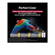 LG TV LG OLED AI 65'' | Procesador Alpha 11 AI Gen 2, Living room space with a wall-mounted LG OLED TV. On the TV is a mountain range against a dark evening sky filled with stars. This scene is split in half to show how Perfart Black delivers true black , OLED65G5PSA, thumbnail 8