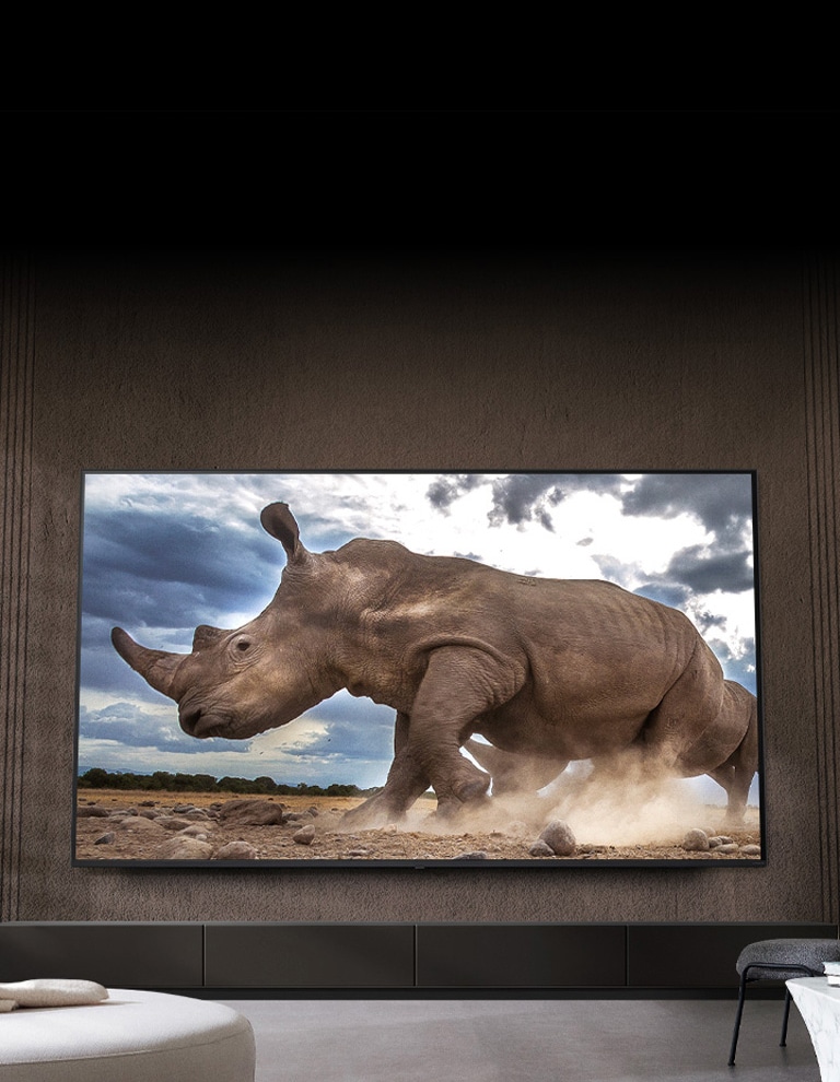 Auf einem Ultra Big LG-Fernseher, der an der braunen Wand eines Wohnzimmers montiert ist, umgeben von cremefarbenen modularen Möbeln, wird ein Nashorn in einer Safari-Umgebung gezeigt.