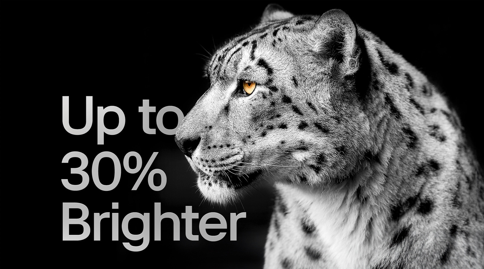 Auf der linken Seite des Bildes sehen wir das Gesicht eines weißen Leoparden von der Seite. Links erscheinen die Worte „bis zu 30% heller“.	