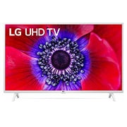 LG 49“ LG UHD TV, Vorderansicht mit eingefügtem Bild, 49UN73906LE, thumbnail 1