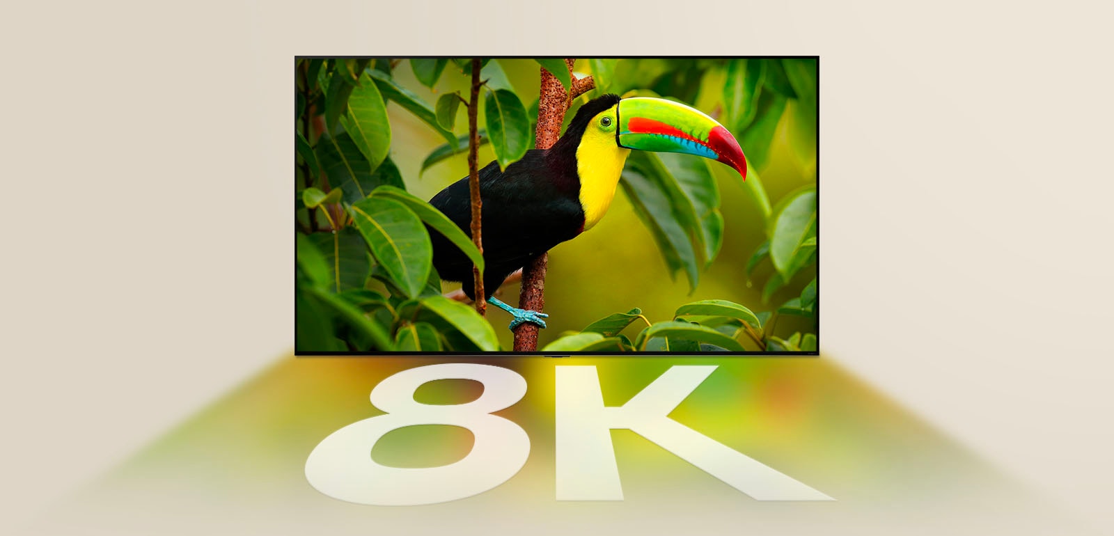 LG TV mit einem exotischen Vogel und Bäumen auf dem Bildschirm. Die Farben des Bildschirms und „8K“ in Weiß spiegeln sich unter dem LG TV.