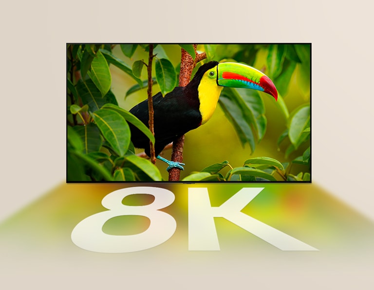 LG TV mit einem exotischen Vogel und Bäumen auf dem Bildschirm. Die Farben des Bildschirms und „8K“ in Weiß spiegeln sich unter dem LG TV.