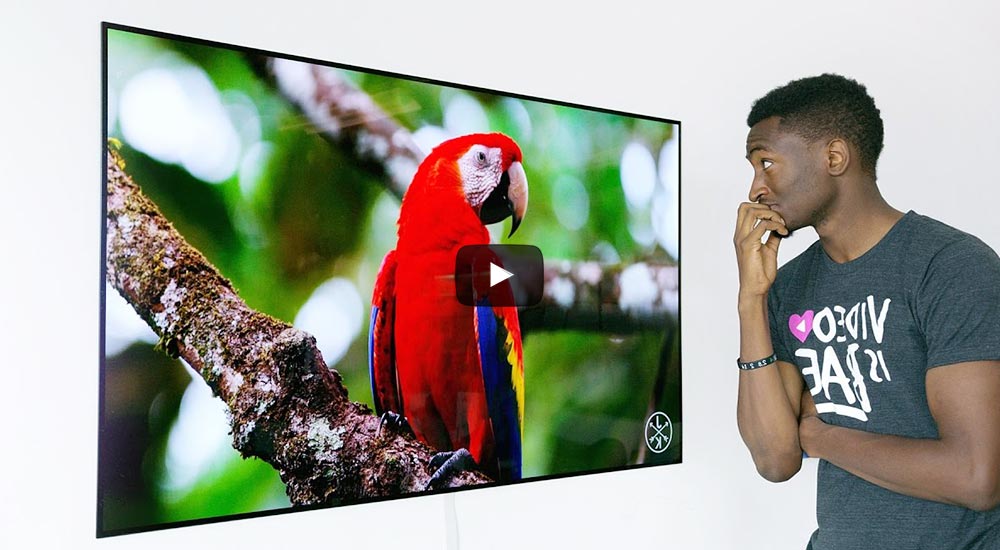 Forbes best youtuber, MKBHD