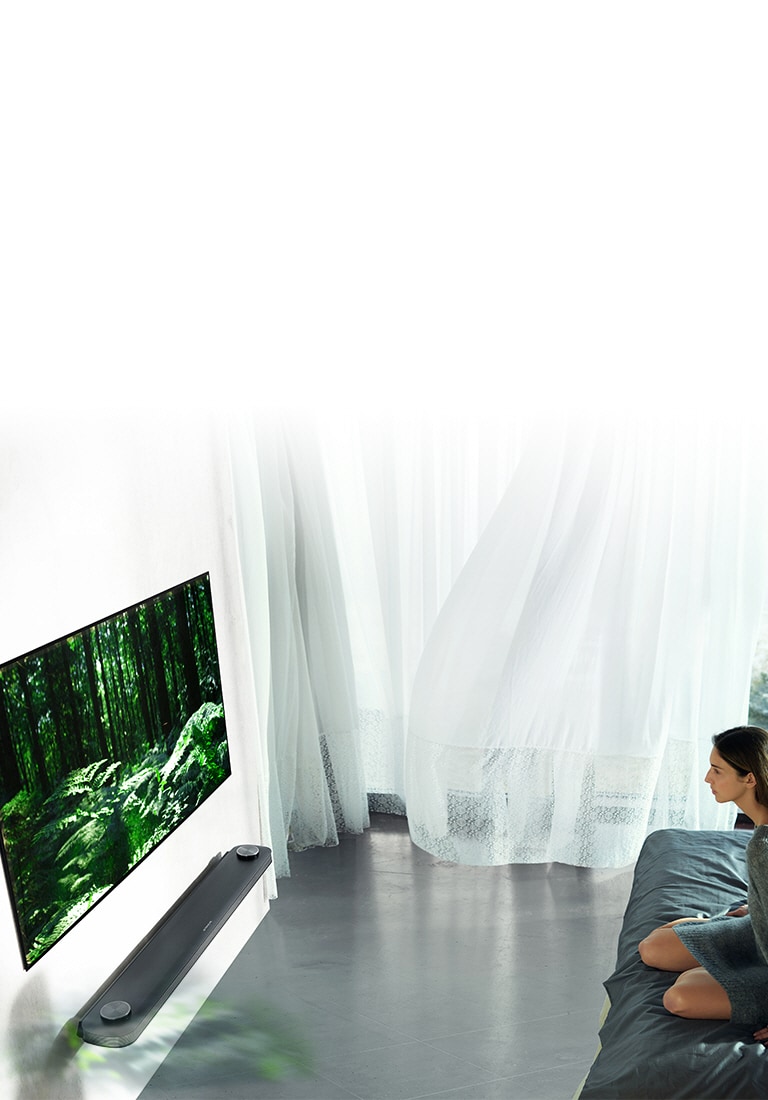 LG SIGNATURE WALLPAPER OLED TV 65'' | OLED65W7T | LG Australia