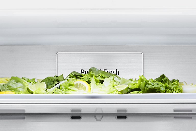 Close-up of metal fresh label inside the refrigerator.
