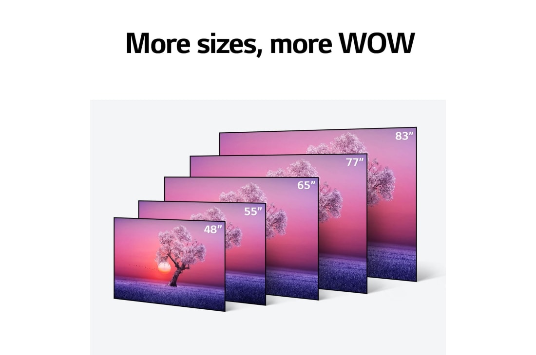 LG C1 83 inch 4K OLED TV with Self-Lit OLED Pixels, OLED83C1PTA More sizes, more WOW, OLED83C1PTA