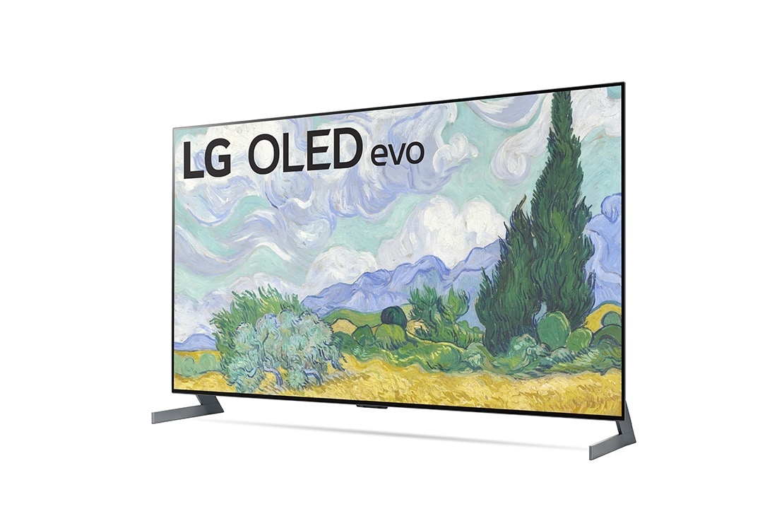 LG G1 55 inch with Gallery Design 4K Smart SelfLit OLED evo TV w/ AI