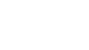 Stan (Logo Type)