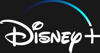 Disney + (Logo Type)