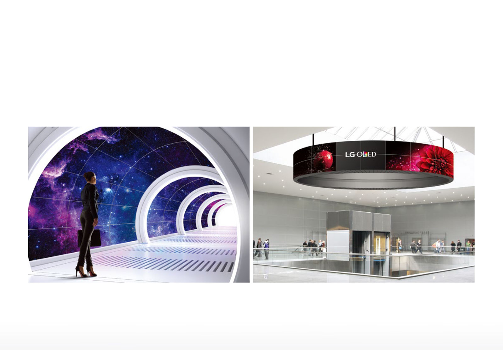 Artistic Display that Becomes a Landmark1