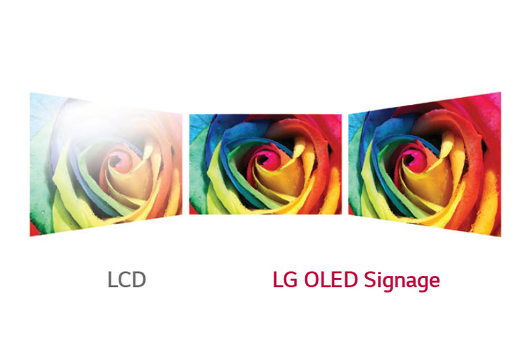 Perfect Viewing Screen<br>2