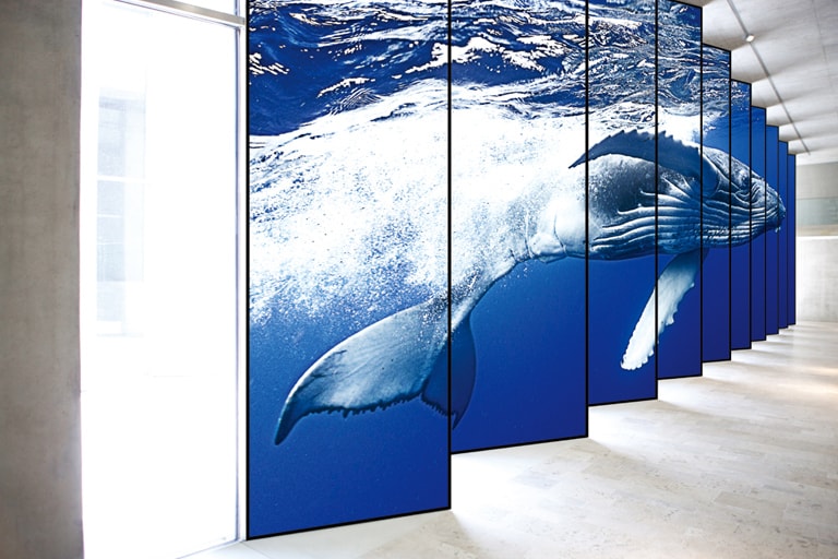 Tiled Scene with Immersive View