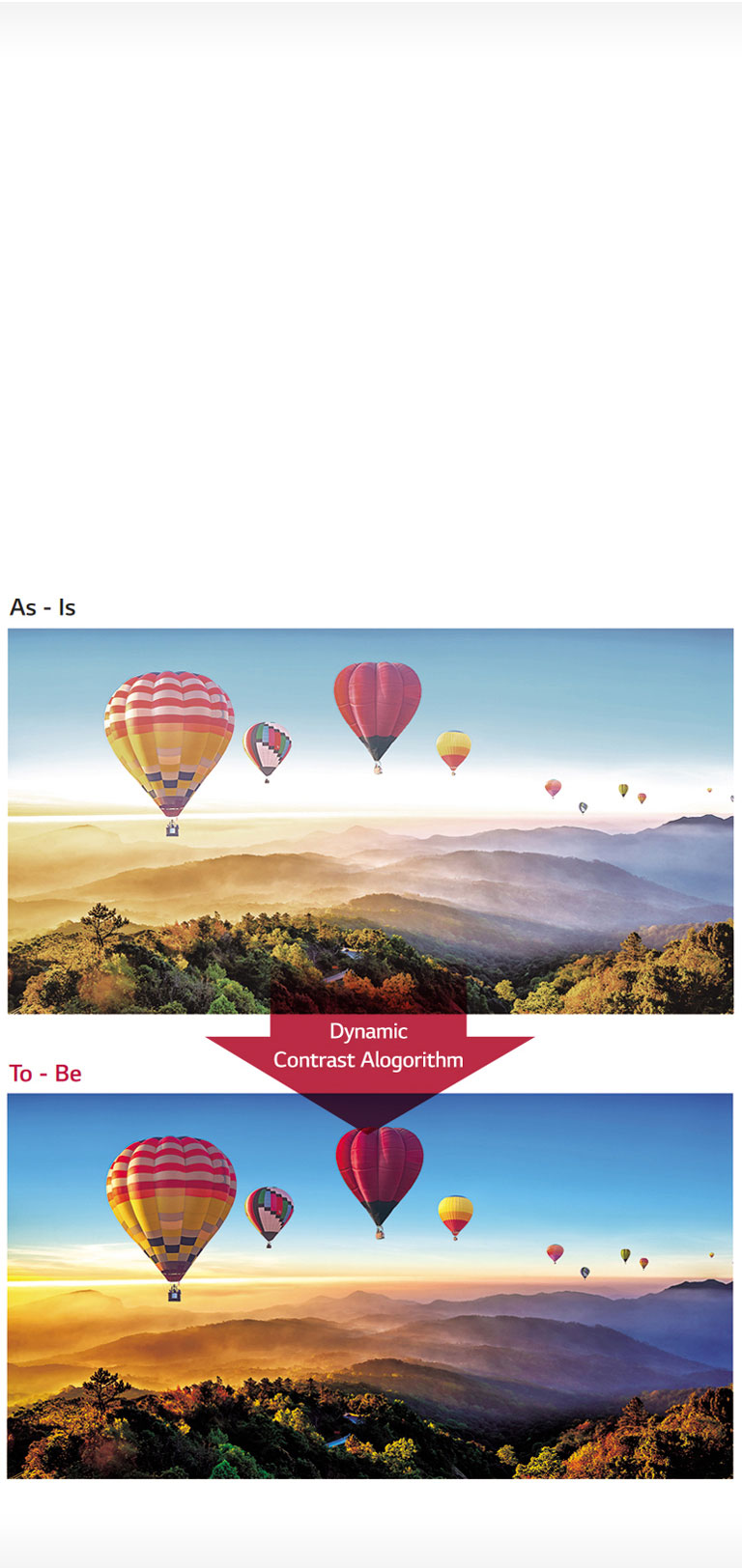 REALISM THROUGH LIFELIKE COLORS<br>2