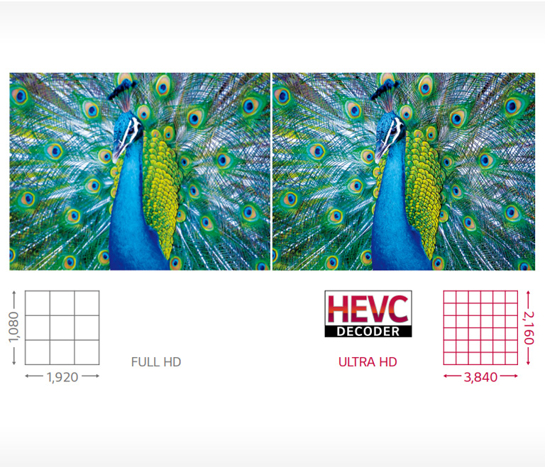 Various size with Ultra HD2