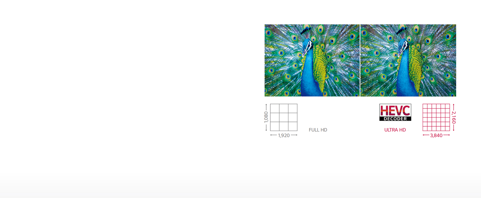 Various size with Ultra HD1