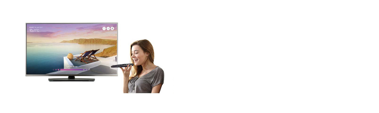 Voice Recognition<br>1