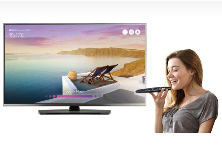 Voice Recognition<br>2