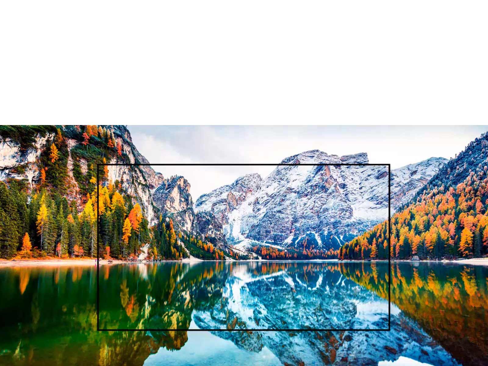 A TV screen showing brightly colored particles swirling around (play the video).