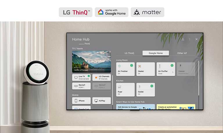 LG TV with Home Hub on the screen. UI shows Google Home, ThinQ, and other IoT showing how you can easily manage all your smart devices on your TV.