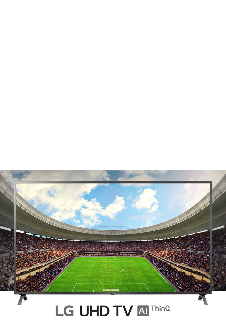 A panoramic view of the soccer stadium filled with spectators  shown inside a TV frame.