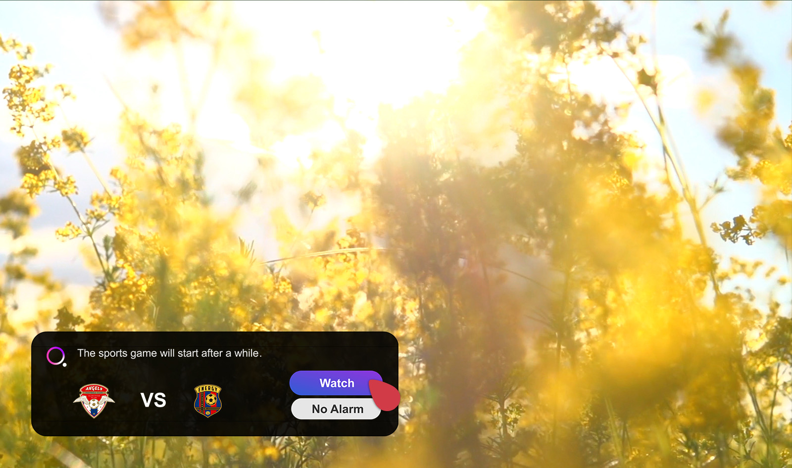 A screen shows a Meadow with blooming yellow wild flowers and there is a sports alert notification popup on left bottom corner that shows current score. A cursor clicks on Watch button and the scene changes to show soccer game. 