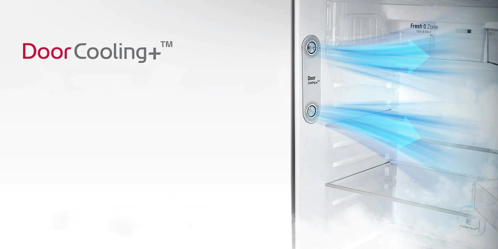 LG GL-T322RPZX Door Cooling+