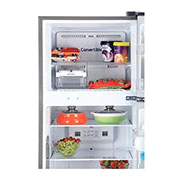 LG 284 Litres Fridge with Smart Inverter Compressor, Door Cooling+™, LG GL-T302RPZX Front Detailed View, GL-T302RPZX, thumbnail 3