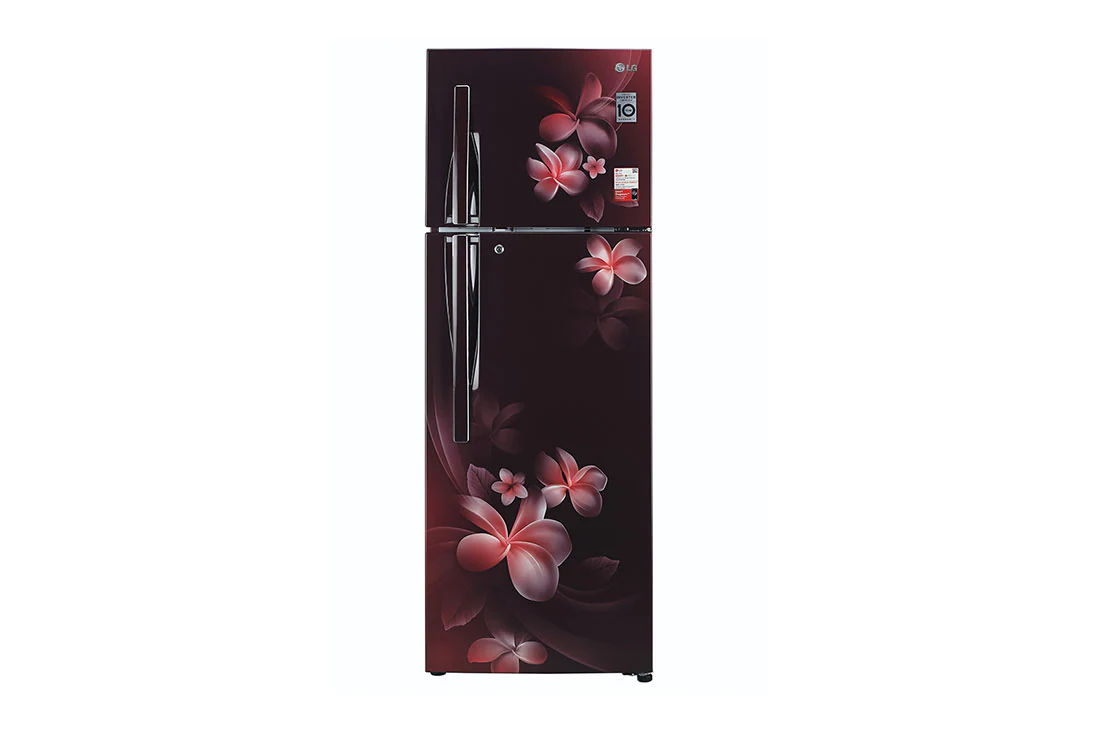 LG 308 Litres Fridge with Smart Inverter Compressor, Door Cooling+™, LG GL-T322RSPX Front View, GL-G322RVBB, thumbnail 2