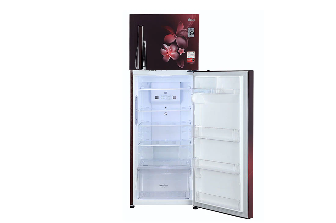 LG 308 Litres Fridge with Smart Inverter Compressor, Door Cooling+™, LG GL-T322RSPX Front View Bottom, GL-G322RVBB, thumbnail 7