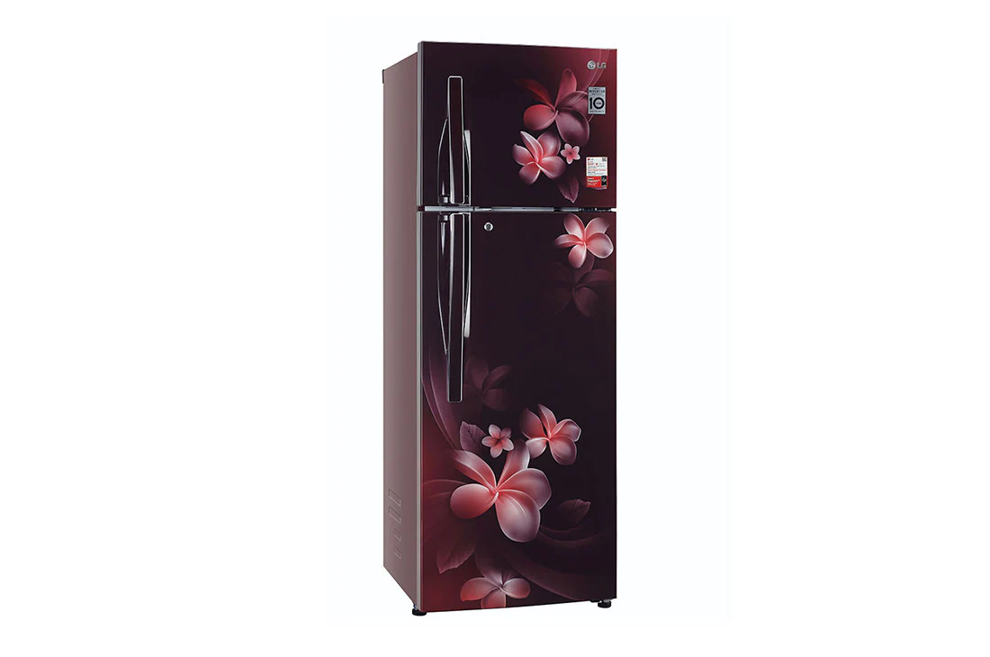 LG 308 Litres Fridge with Smart Inverter Compressor, Door Cooling+™, LG GL-T322RSPX Left View, GL-G322RVBB, thumbnail 11
