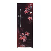 LG 308 Litres Fridge with Smart Inverter Compressor, Door Cooling+™, LG GL-T322RSPX Front View, GL-G322RVBB, thumbnail 2