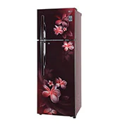 LG 308 Litres Fridge with Smart Inverter Compressor, Door Cooling+™, LG GL-T322RSPX Right View, GL-G322RVBB, thumbnail 10
