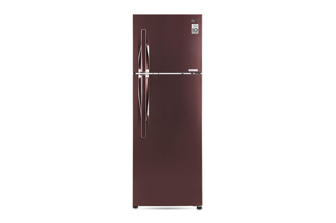 LG 308 Litres Fridge with Smart Inverter Compressor, Door Cooling+™, GL-G322RVBB