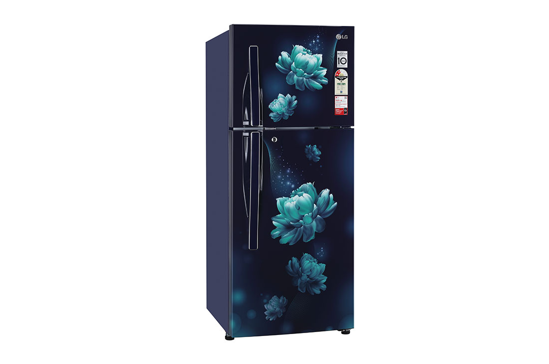 LG 240 Ltr, 2 Star, Smart Inverter Compressor, Convertible, Smart Diagnosis™, Blue Charm Finish, Frost-Free Double Door Refrigerator, LG GL-G302RPBB Left View, GL-G302RPBB, thumbnail 9