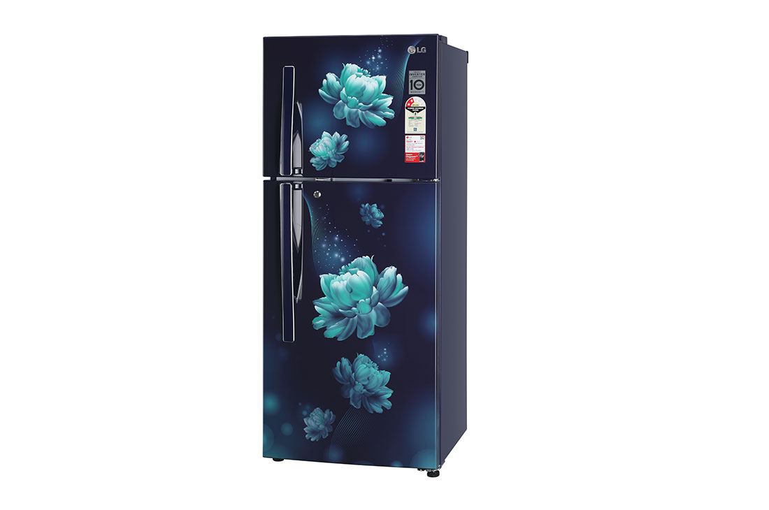 LG 240 Ltr, 2 Star, Smart Inverter Compressor, Convertible, Smart Diagnosis™, Blue Charm Finish, Frost-Free Double Door Refrigerator, LG GL-G302RPBB Right View, GL-G302RPBB, thumbnail 8
