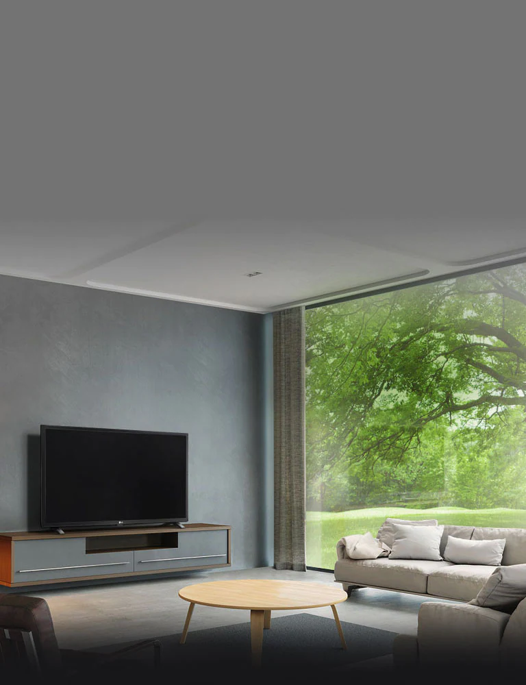 LG Simple yet Sophisticated Design Smart TV