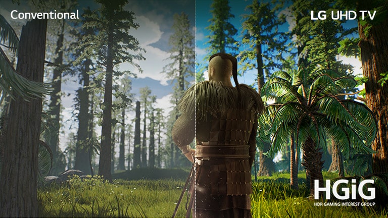 LG 43UN7300PTC HGiG profile