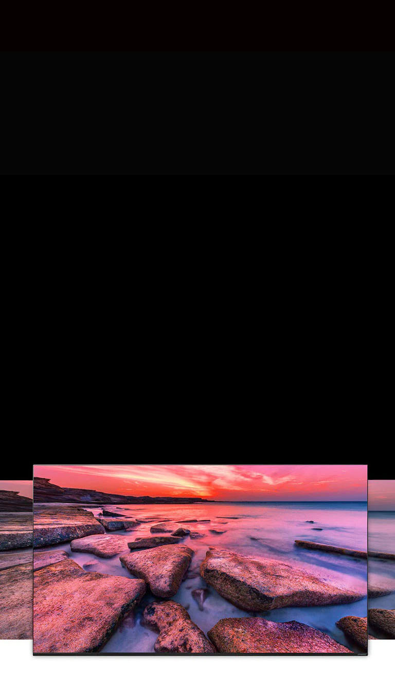 TV screen showing the wide view of nature