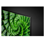 LG UN8000 65'' UHD 4K TV, LG UN8000 65" UHD 4K TV, close-up view of panel, 65UN8000PTA, 65UN8000PTA, thumbnail 11