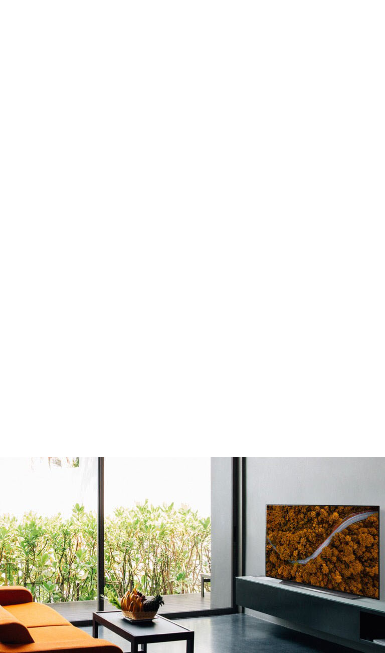 Living room with a sofa and a TV showing an aerial view of nature