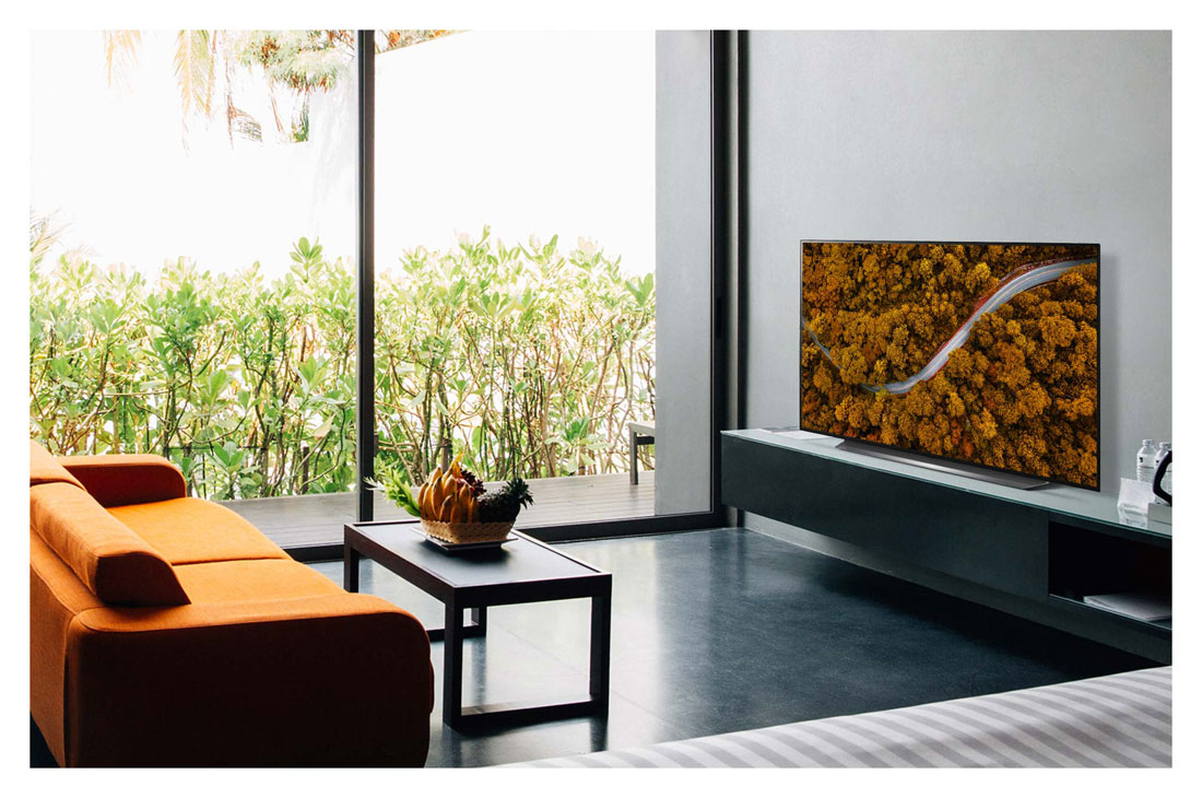 LG CX  65'' OLED 4K TV, Living room with a sofa and a TV showing an aerial view of nature, OLED65CXPTA, thumbnail 10