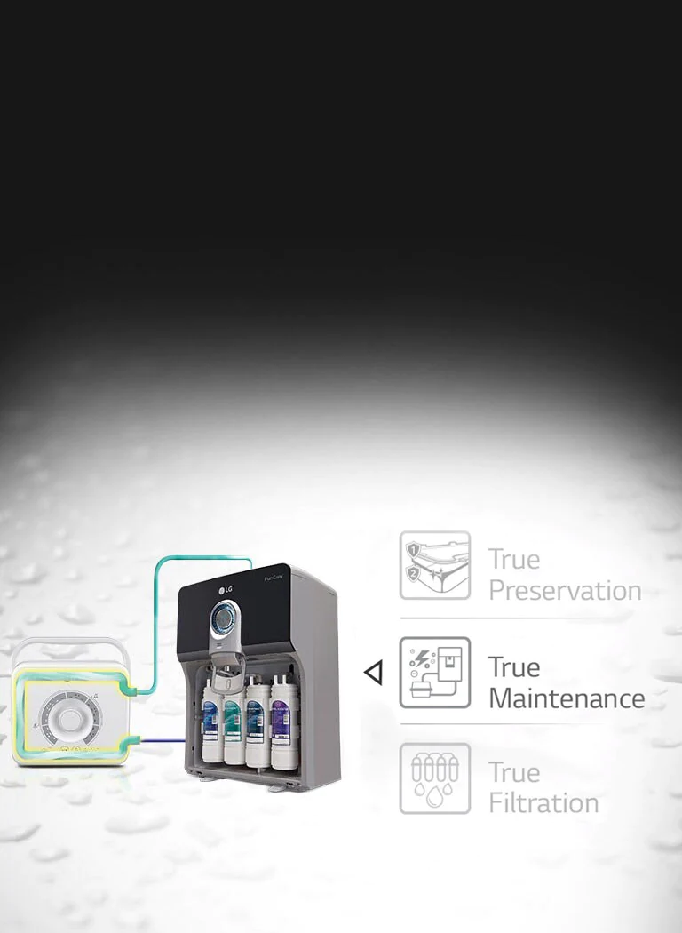 The promise of the absolute Purity2